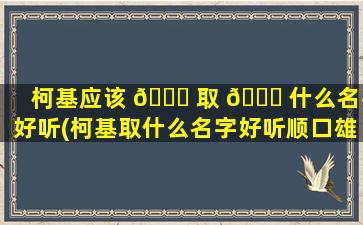 柯基应该 🐋 取 🍀 什么名字好听(柯基取什么名字好听顺口雄性)